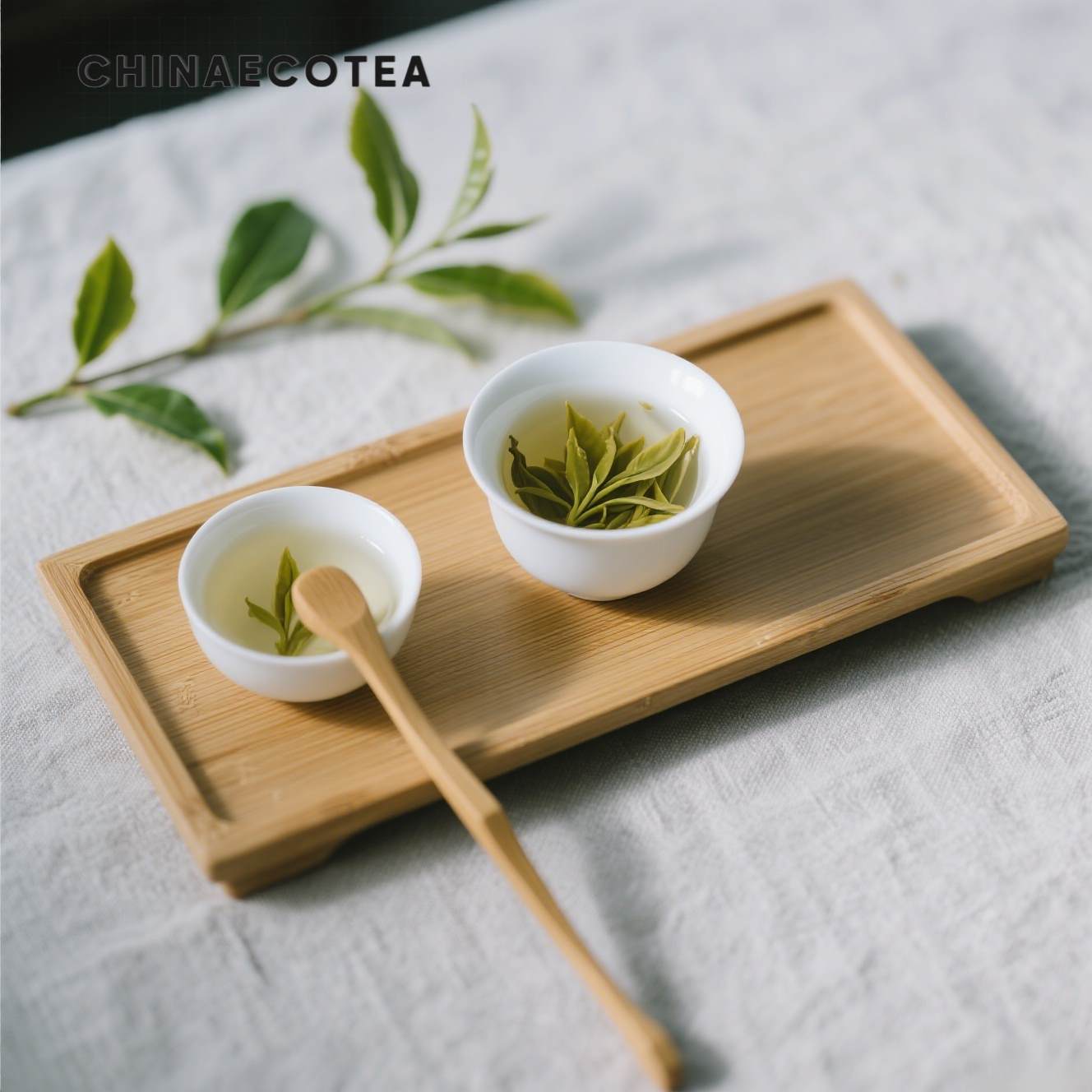 Green Tea--Premium Pre-Qingming Green Tea