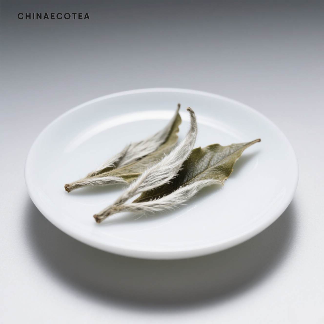 White tea--Moonlight Whisper · Rare white tea