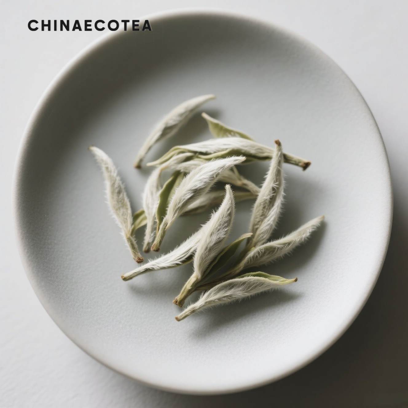 White tea--Moonlight Whisper · Rare white tea