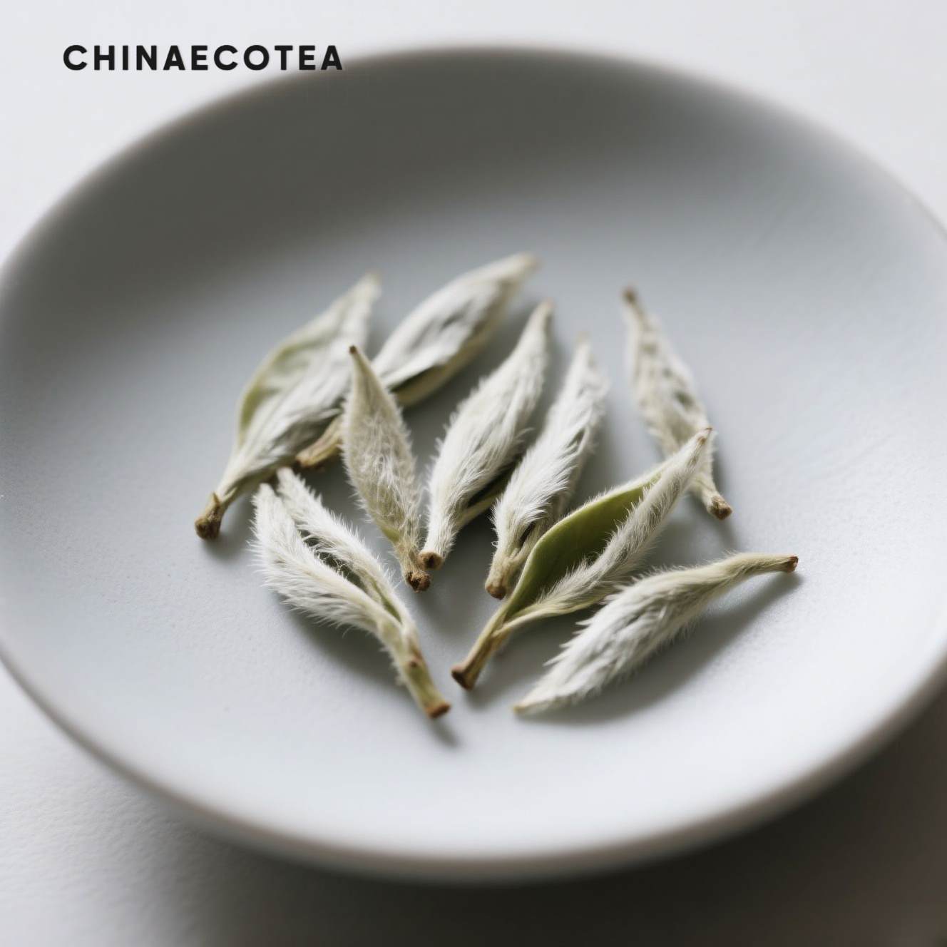 White tea--Moonlight Whisper · Rare white tea